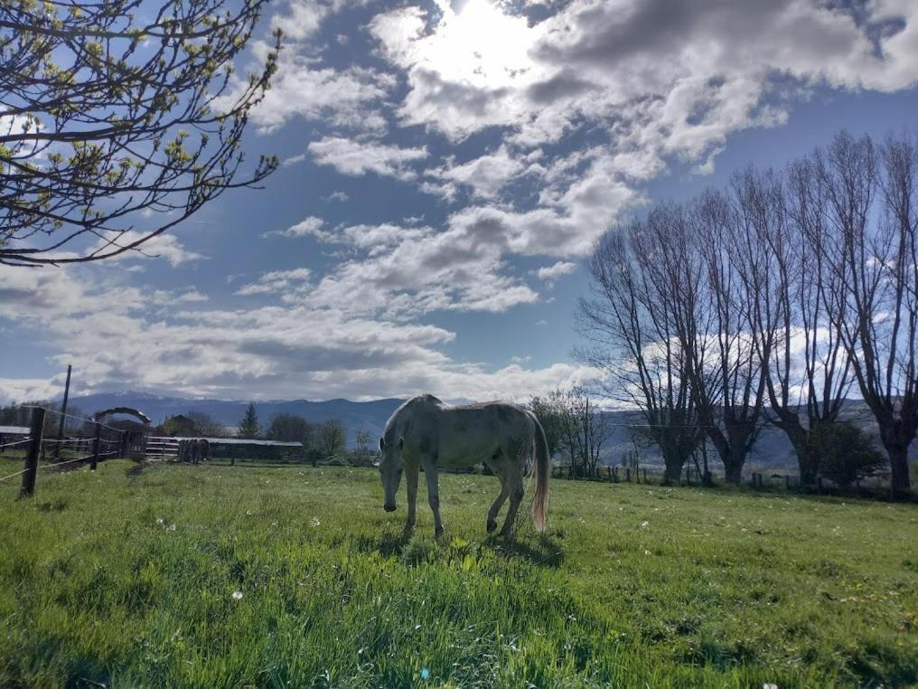 Willa Ca L'Andreu Ventola Zewnętrze zdjęcie