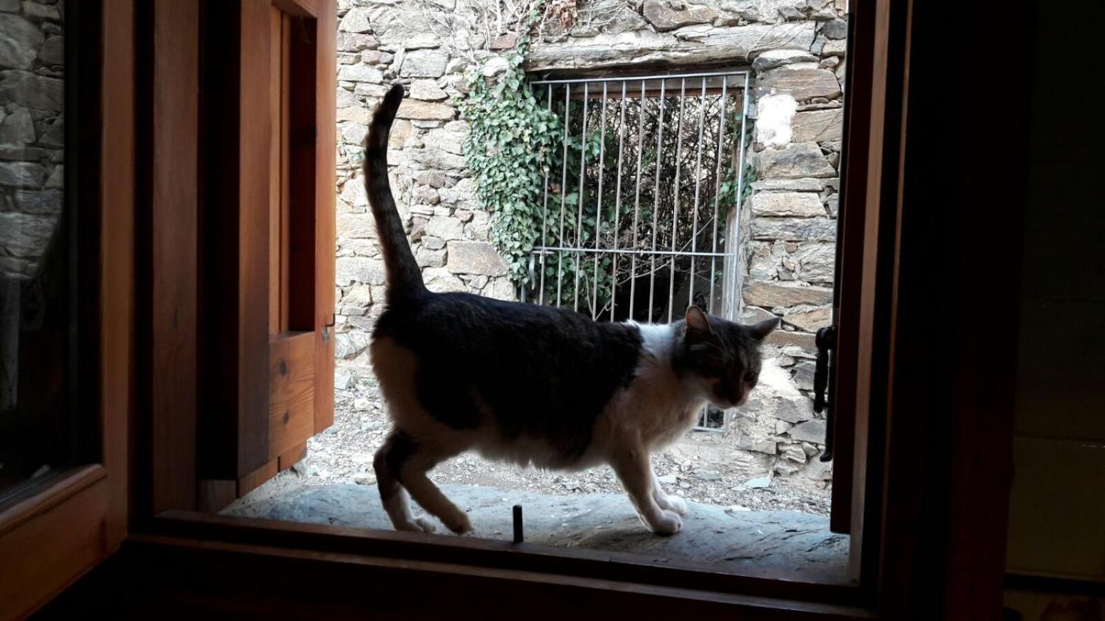 Willa Ca L'Andreu Ventola Zewnętrze zdjęcie